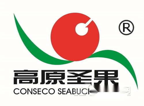 高原圣果沙棘制品 同順廣告?zhèn)髅?，讓健康與品牌同頻共振